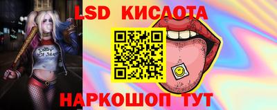 гидра Можга
