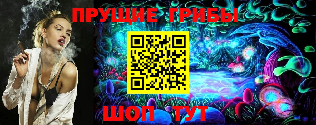Псилоцибиновые грибы GOLDEN TEACHER  Вход с VPN  Дмитров 