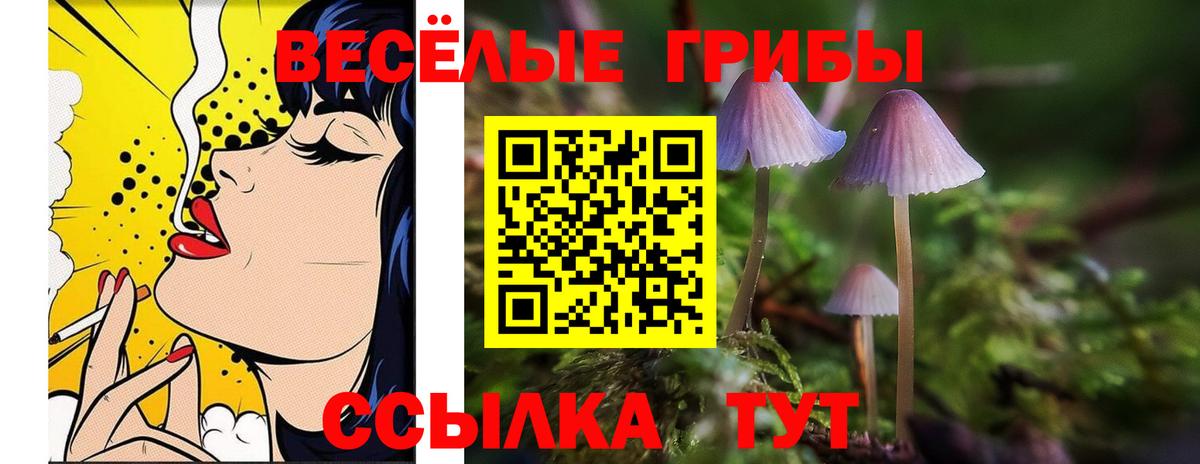Галлюциногенные грибы ЛСД Дмитров